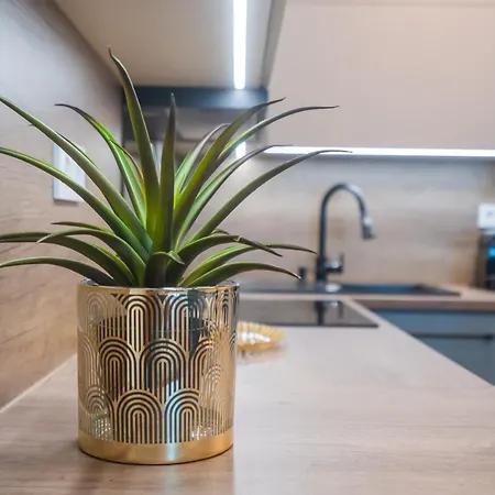 Apartment Myflat Wave 31