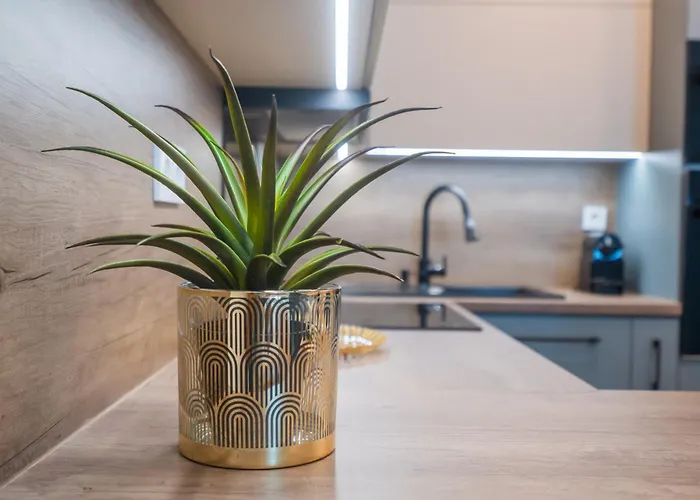 Apartment Myflat Wave 31